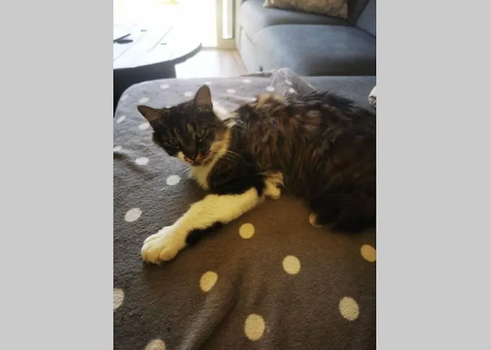 La Petite Maison Des Marais *